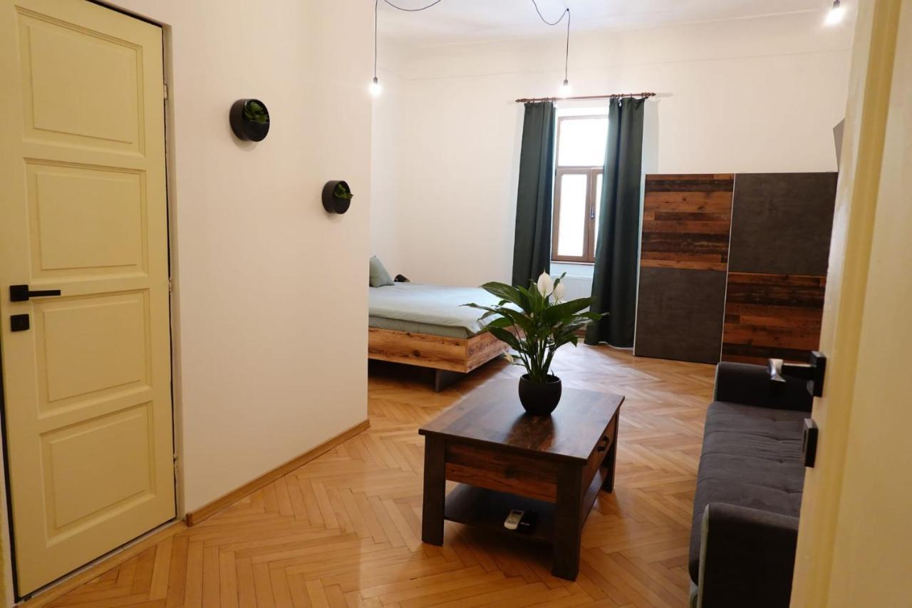 The Industrique Home - 3 Bedroom Apartment Тимишоара Экстерьер фото