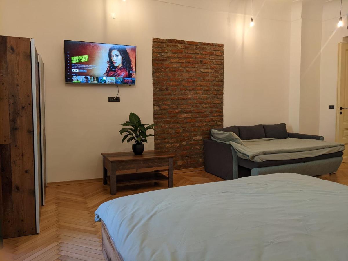 The Industrique Home - 3 Bedroom Apartment Тимишоара Экстерьер фото